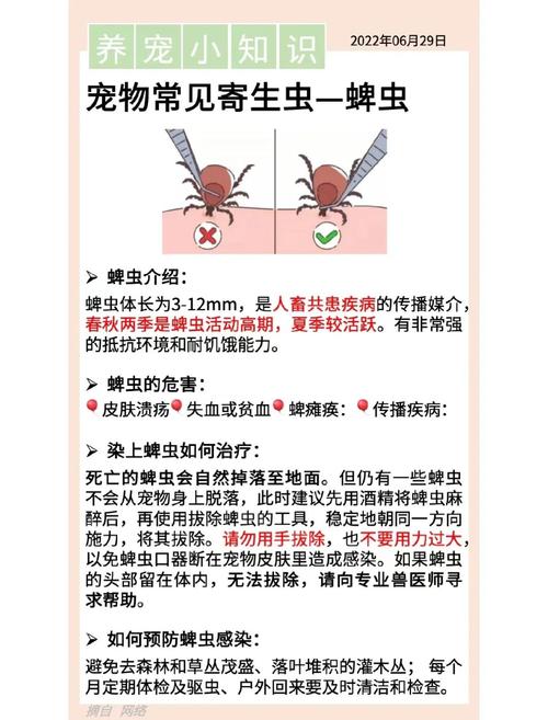 蜱虫是什么样的?蜱虫和臭虫区别在哪?除蜱虫方法有哪些?